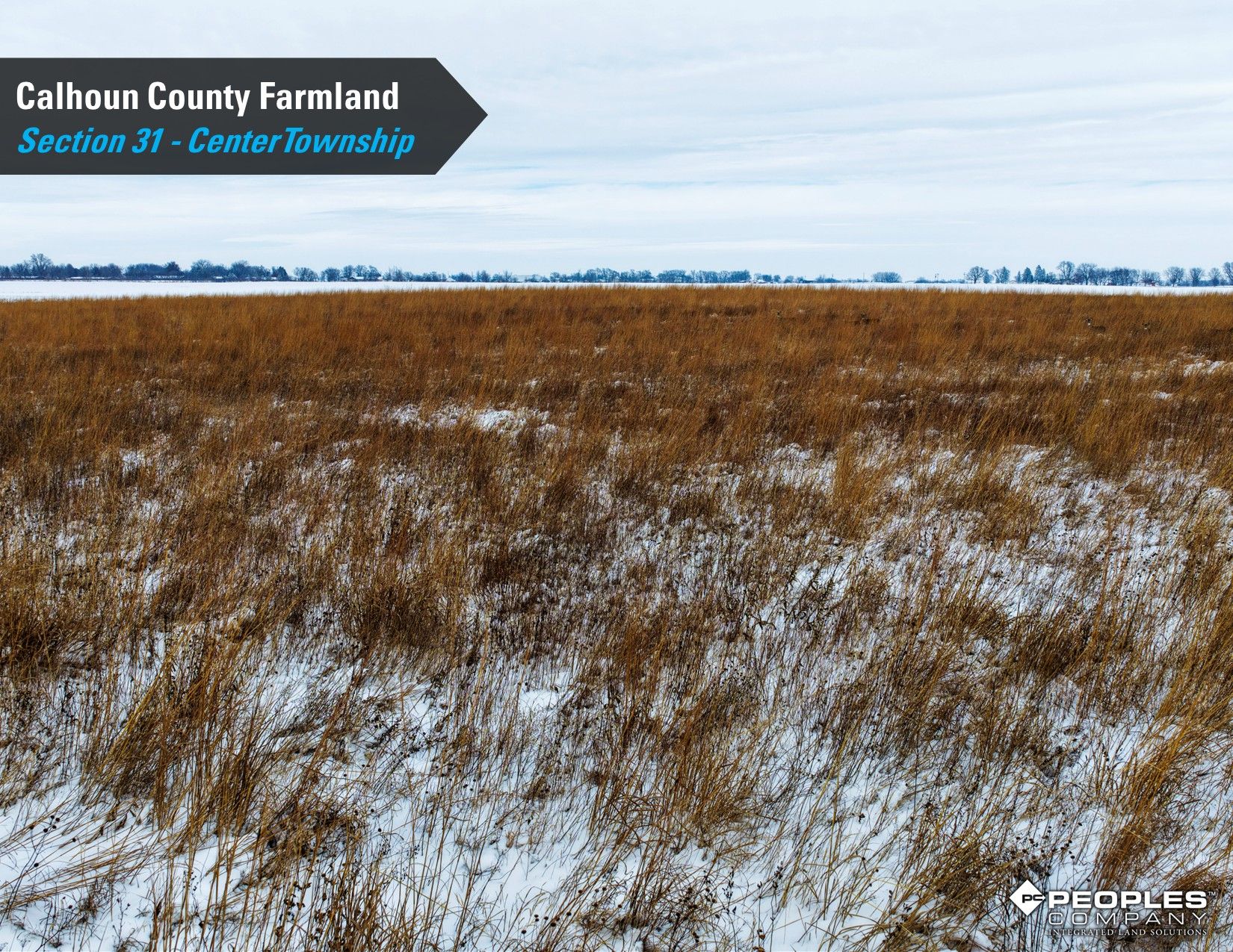 Listing Photo: Calhoun-County-Iowa-Farmland-Available-78.4Acres-Rockwell-City-18822 (13)